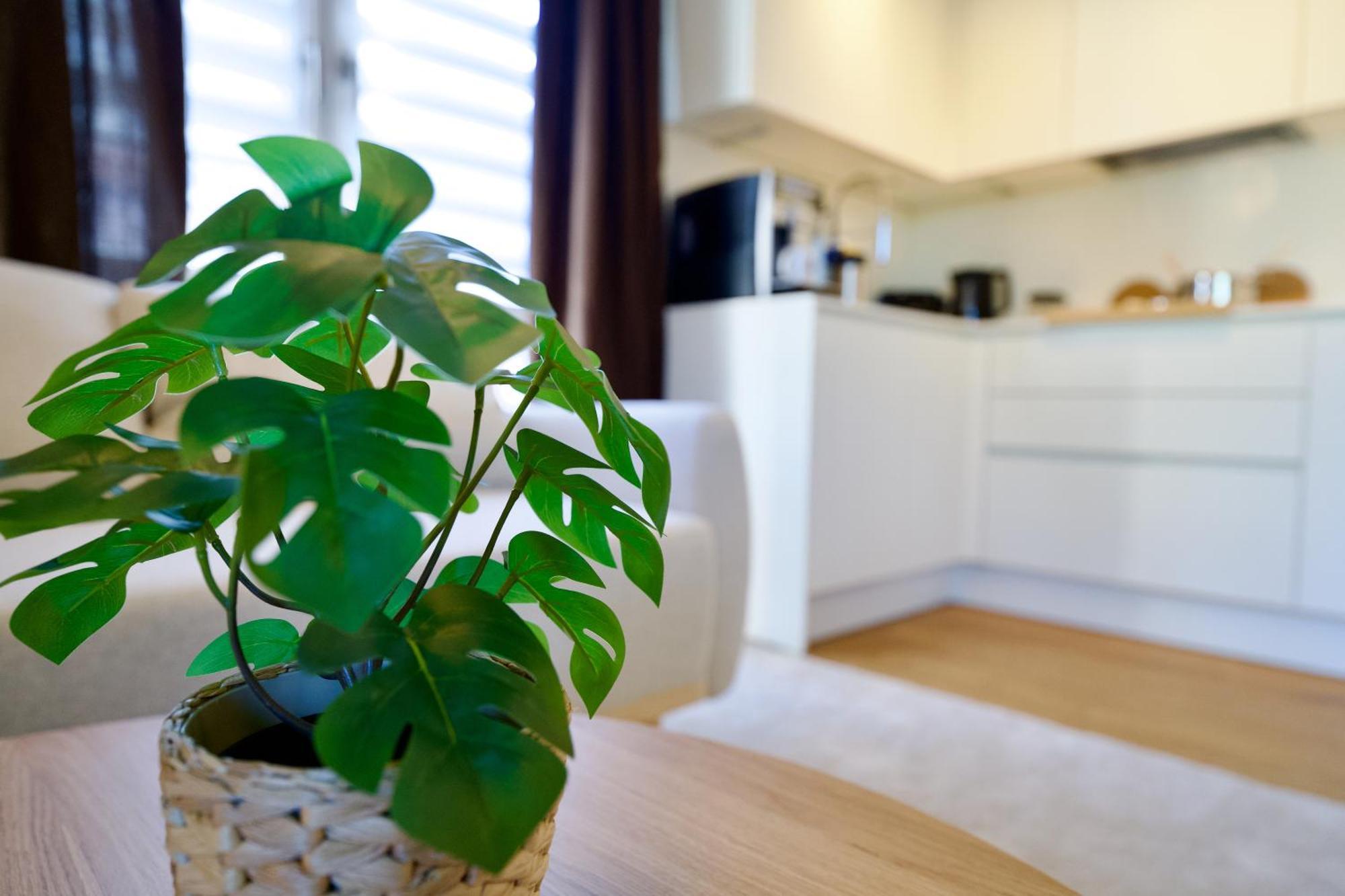 Edler Wohnraum Schwanenteich-Oase Mit Balkon, Kaffeevollautomat, Lift & Parkplatz Lejlighed Zwickau Eksteriør billede